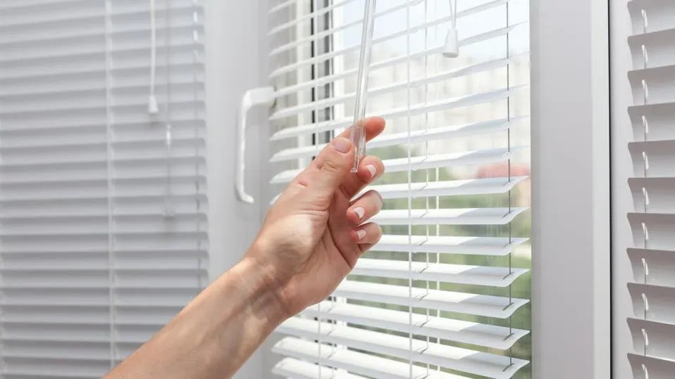 Best Window Blinds Near Me in Bolton